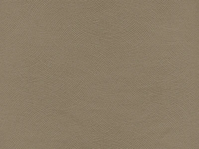 Lira (Ліра) 05 Темно-бежевий