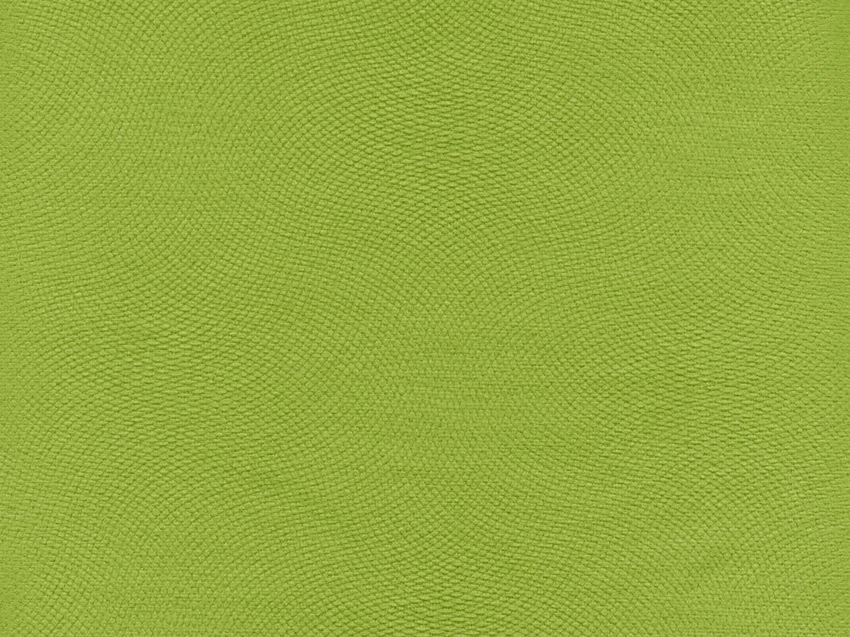 Lira (Лира) 06 Салатовый 