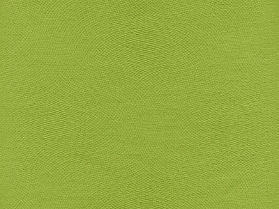 Lira (Ліра) 06 Салатовий