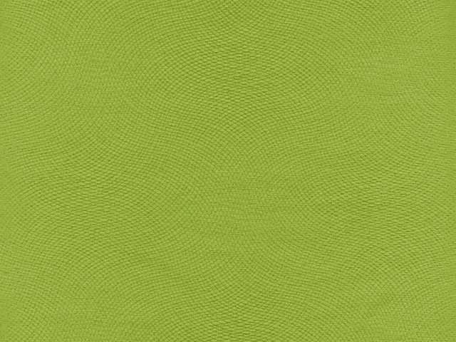 Lira (Лира) 06 Салатовый 