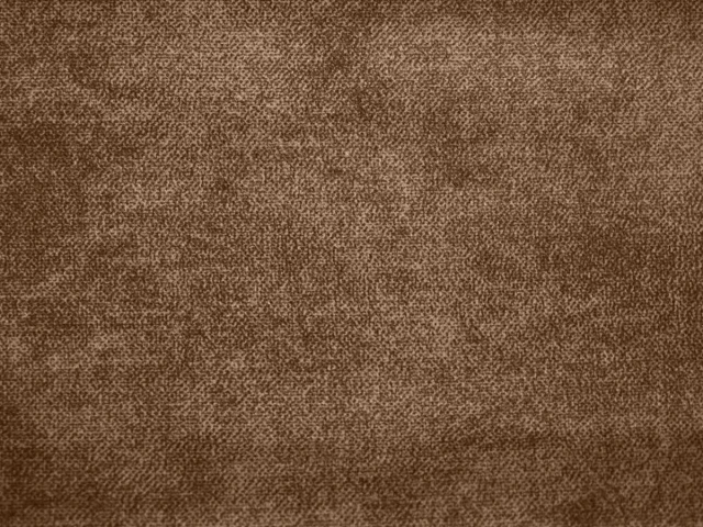 Salvia (Сальвія) 15 Коричневий 