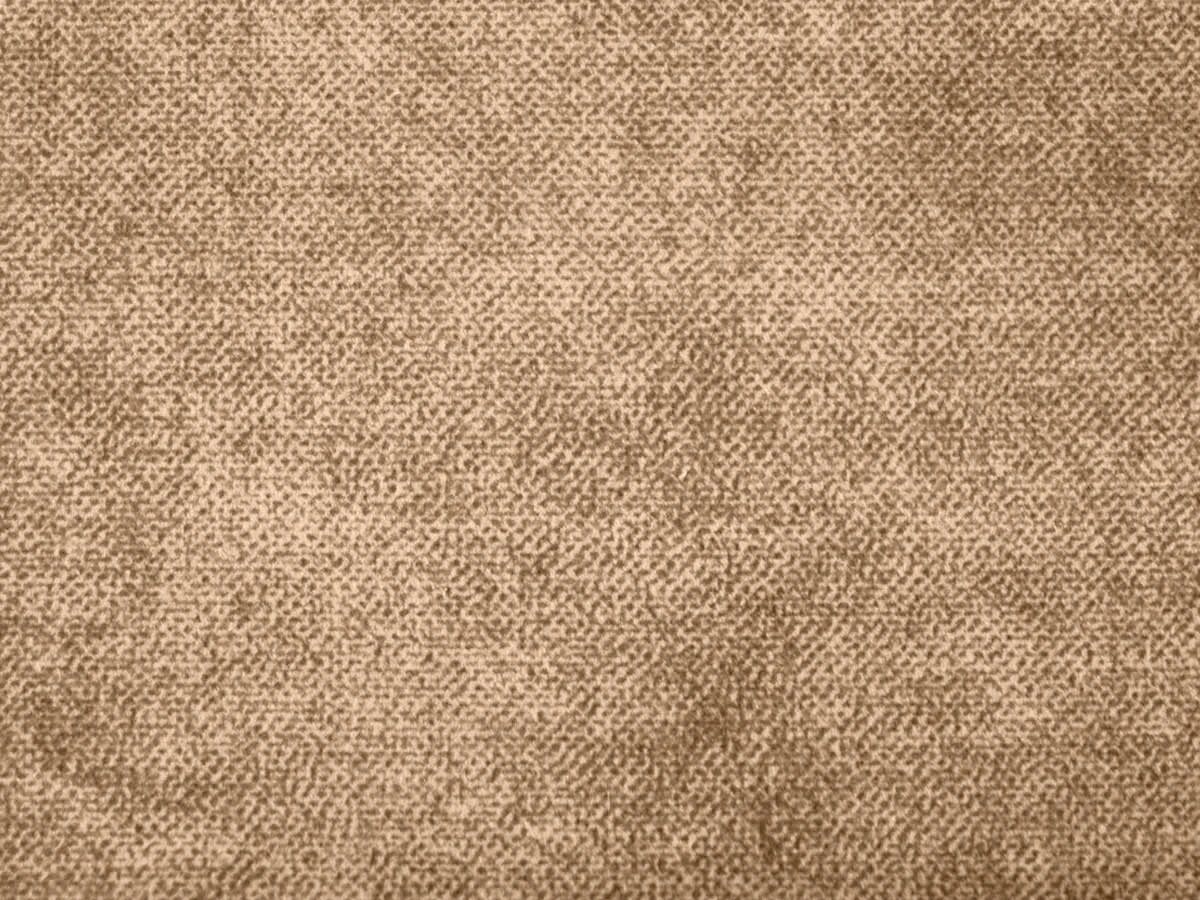 Salvia (Сальвія) 12 Світло-коричневий 