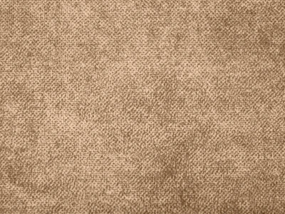 Salvia (Сальвія) 12 Світло-коричневий