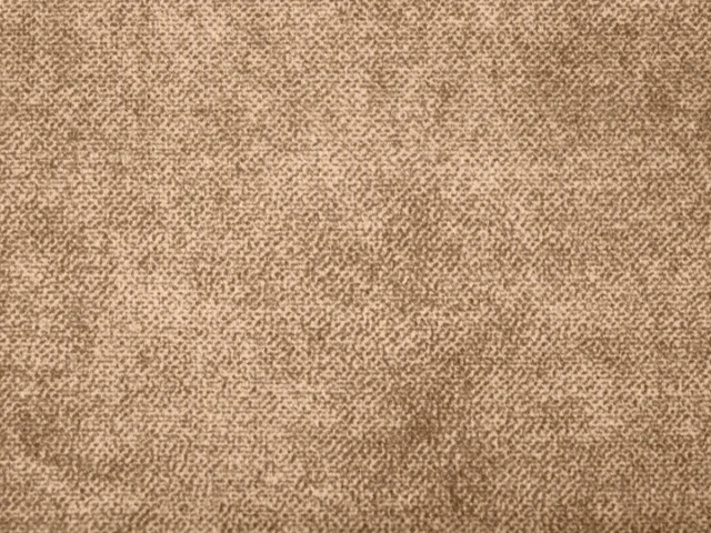 Salvia (Сальвія) 12 Світло-коричневий 