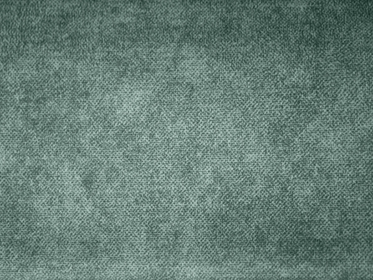 Salvia (Сальвія) 93 Сіро-зелений 