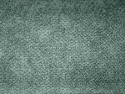 Salvia (Сальвія) 93 Сіро-зелений