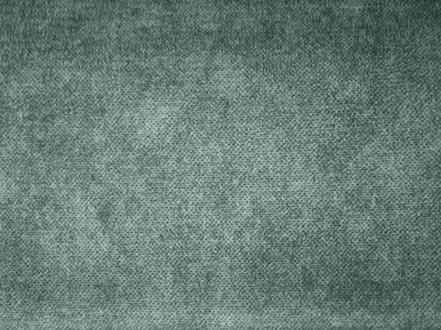 Salvia (Сальвія) 93 Сіро-зелений 