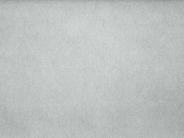 Salvia (Сальвія) 90 Мишачо-сірий 