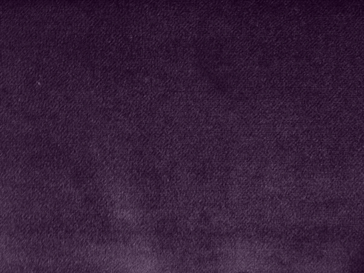 Salvia (Сальвія) 68 Фіолетовий 