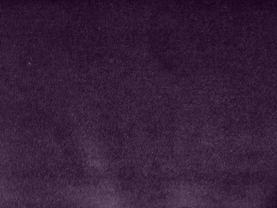 Salvia (Сальвія) 68 Фіолетовий