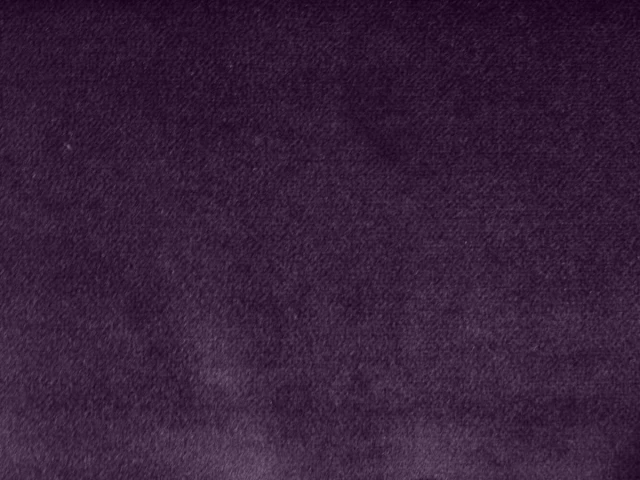 Salvia (Сальвія) 68 Фіолетовий 