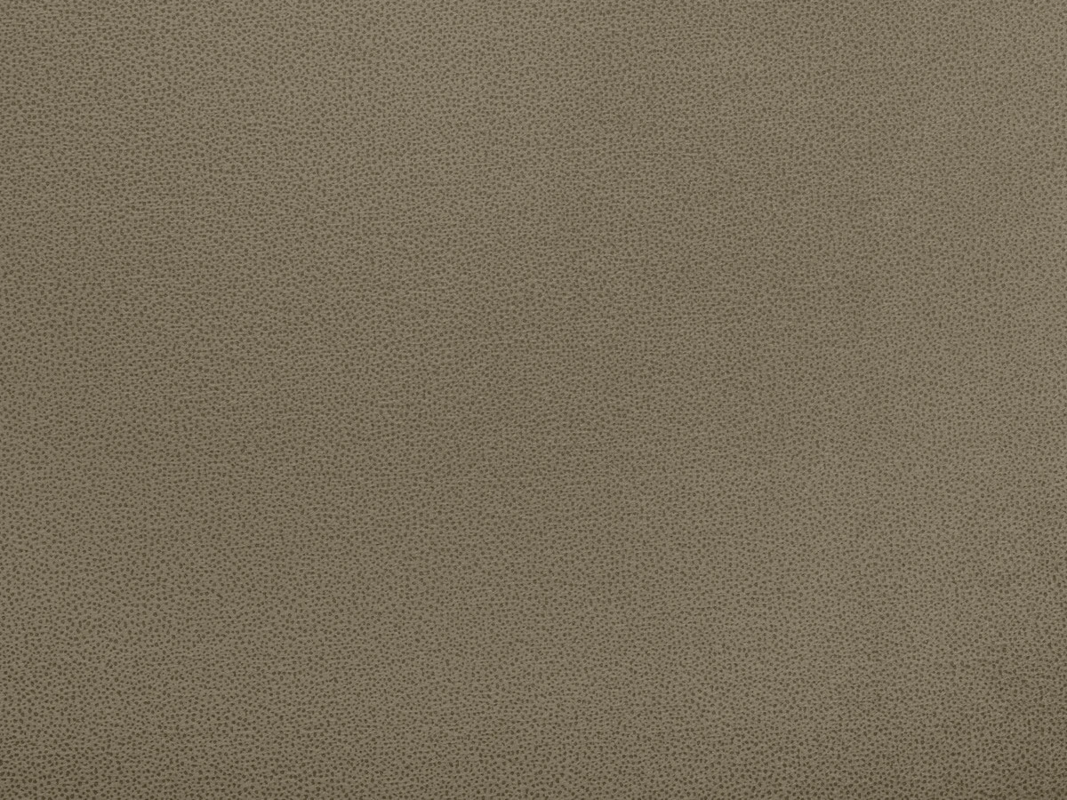 Tansy (Танзі) 09 Кава з молоком 