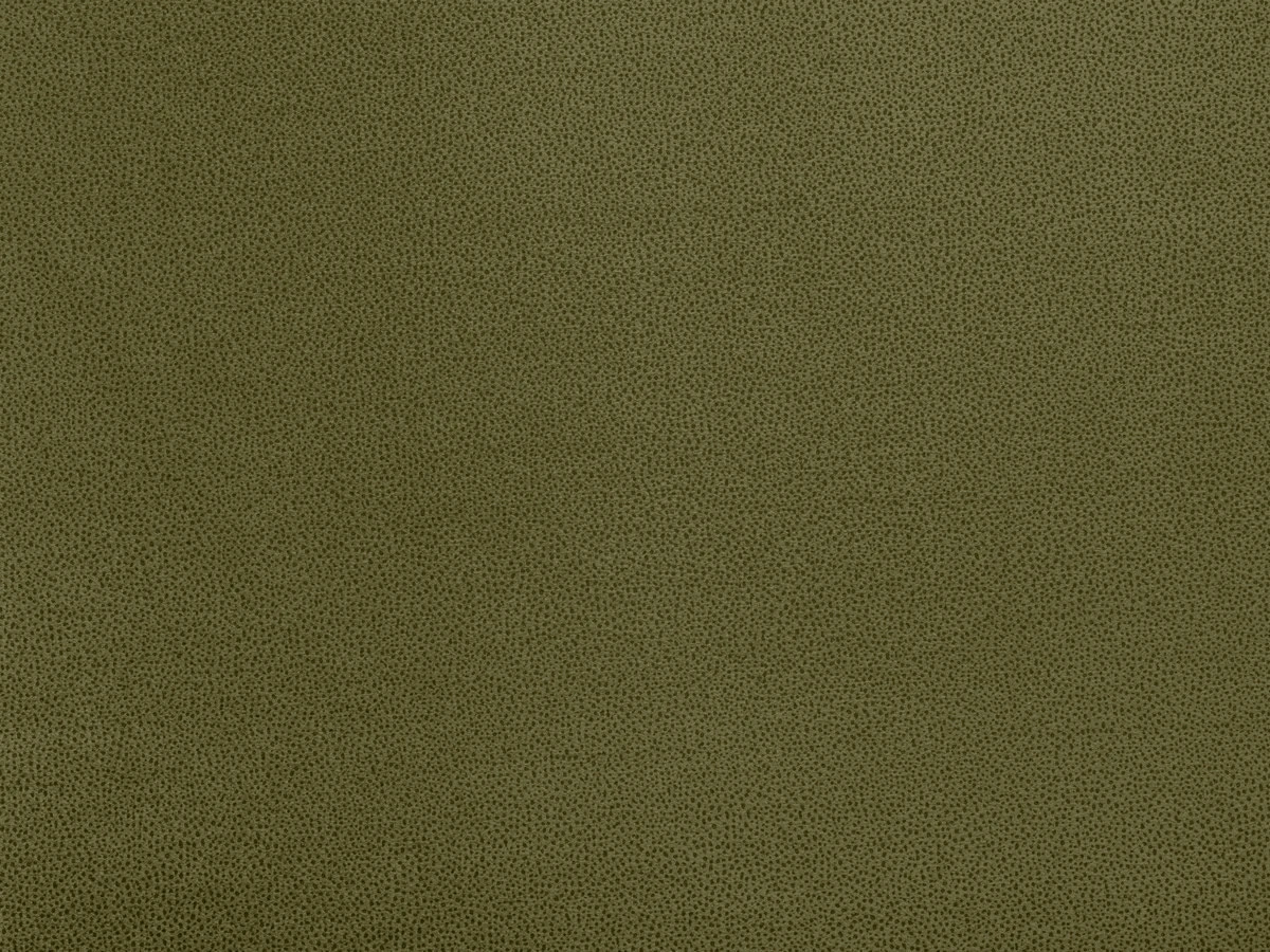 Tansy (Танзі) 34 Хакі 