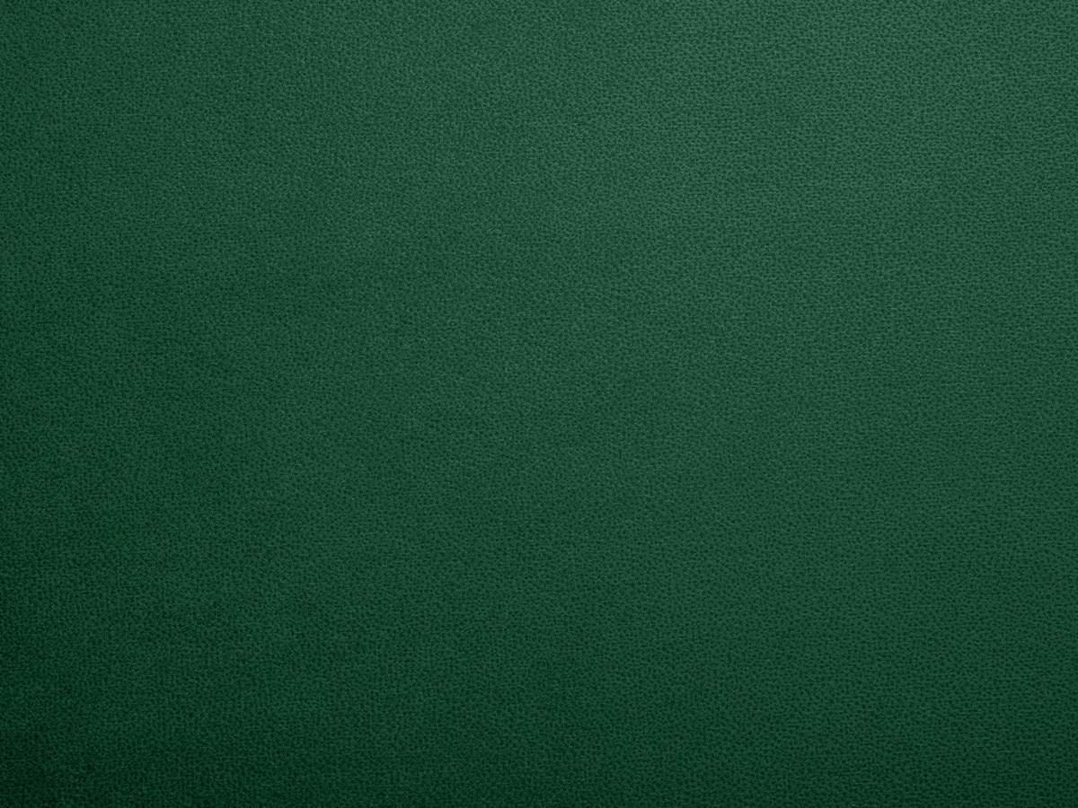 Tansy (Танзі) 38 Зелений 