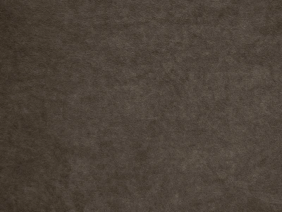 Omega (Омега) 16 Кавовий