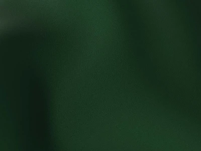 Florida (Флорида) Forest