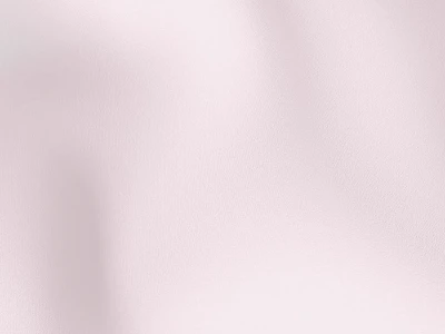 Florida (Флорида) Rose