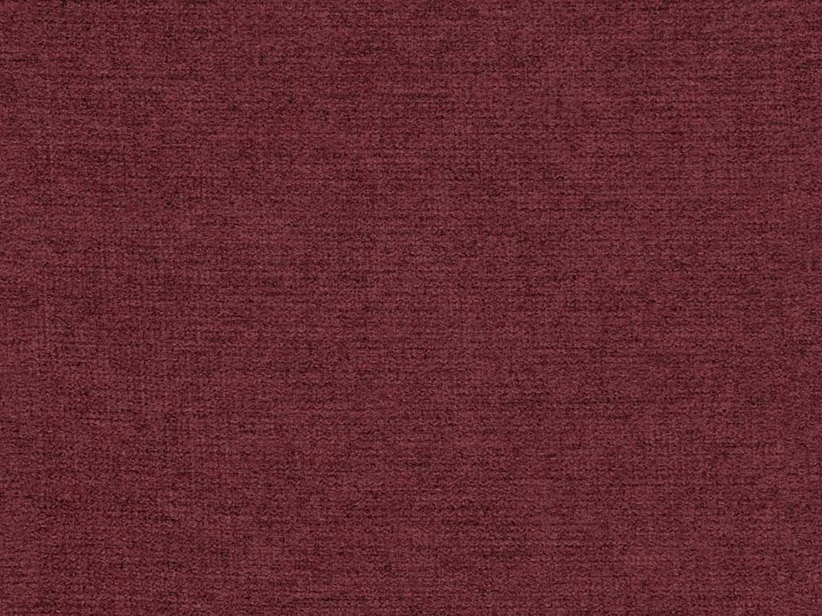 La Manche (Ла Манш) Peony 