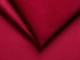Amore (Амор) 12 Red 