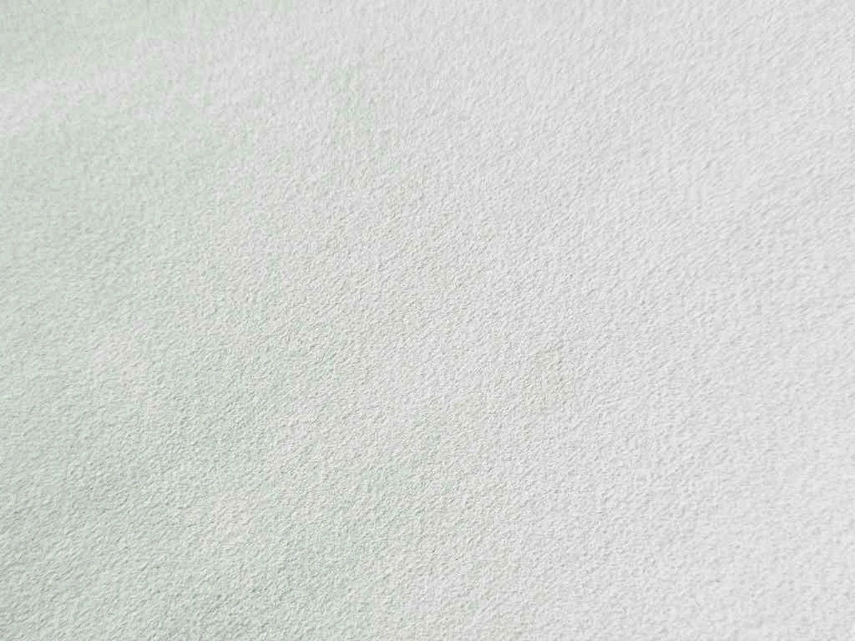 Eco LOUNGE (Эко Лаунж) Bone 