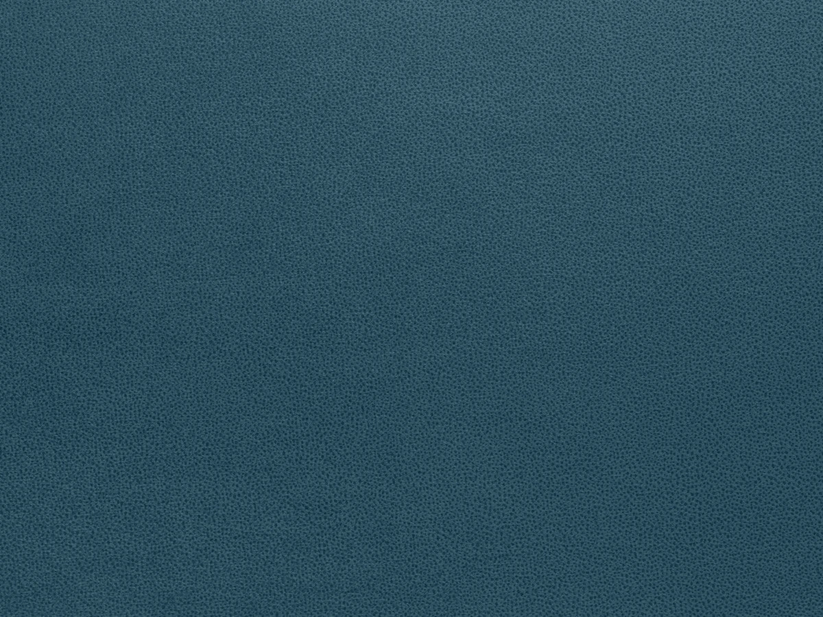 Tansy (Танзі) 85 Синій 