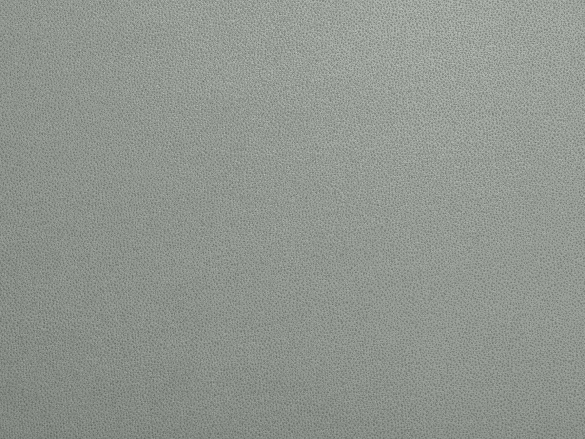 Tansy (Танзі) 93 Срібло 