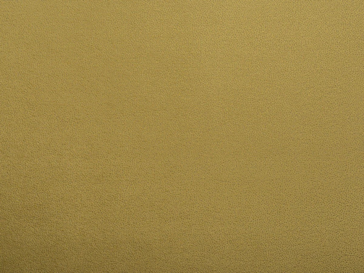 Tansy (Танзі) 46 Гірчичний 