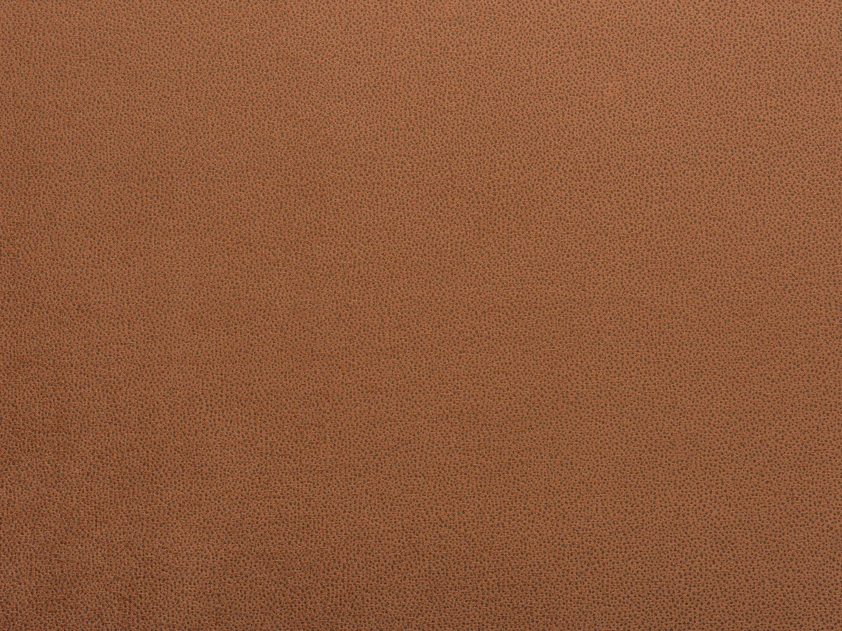 Tansy (Танзі) 54 Помаранчевий 