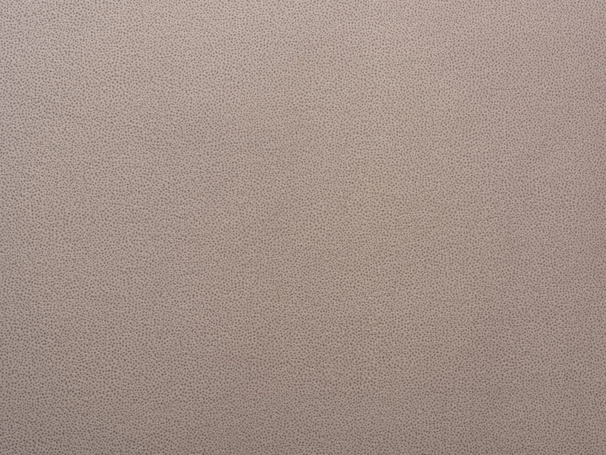 Tansy (Танзі) 63 Пудровий 