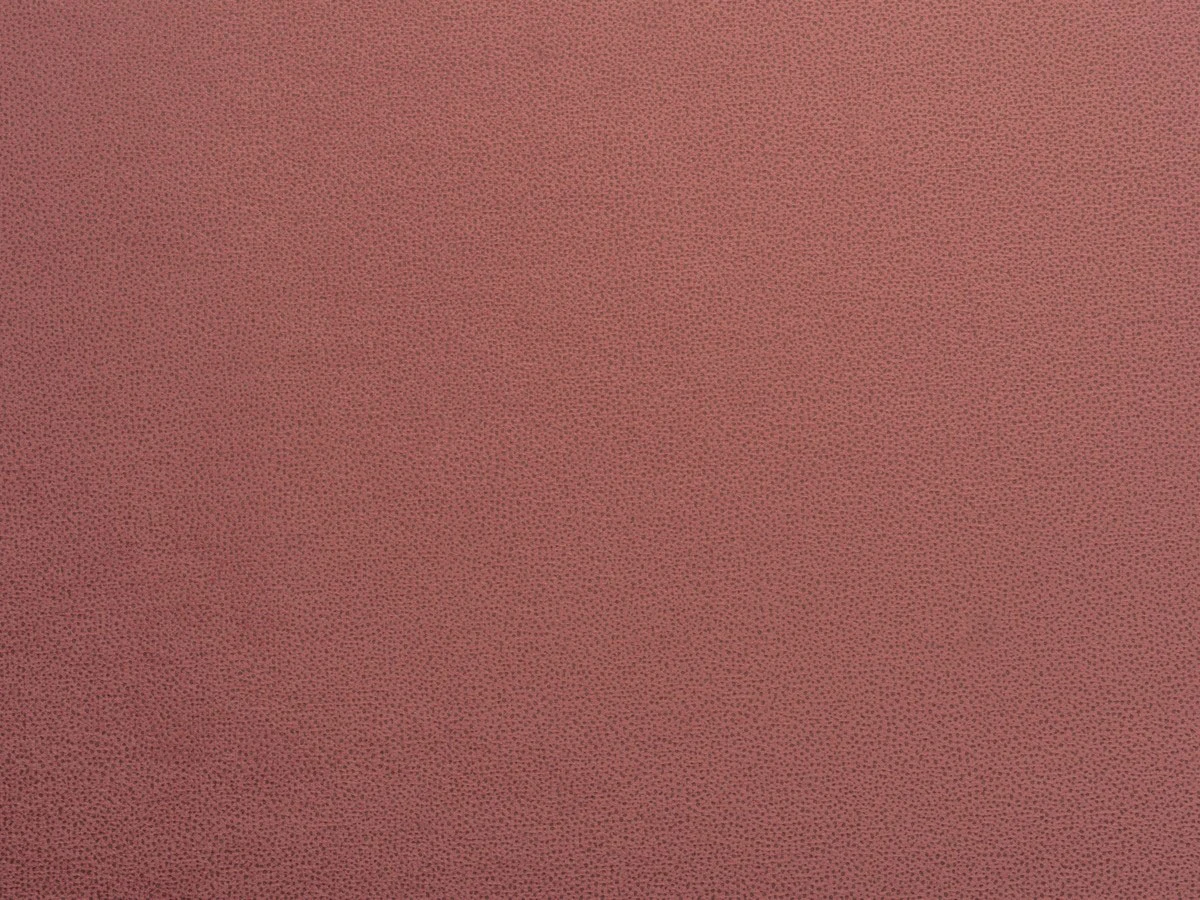 Tansy (Танзі) 65 Кораловий 