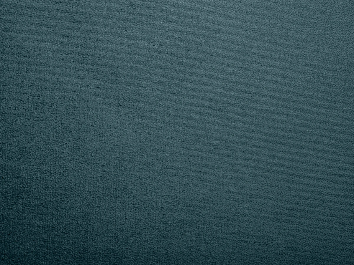 Tansy (Танзі) 81 Сизий 