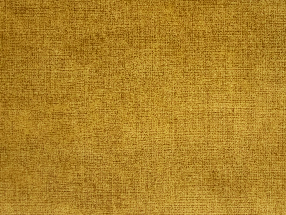 Bestseller (Бестселлер) Amber 