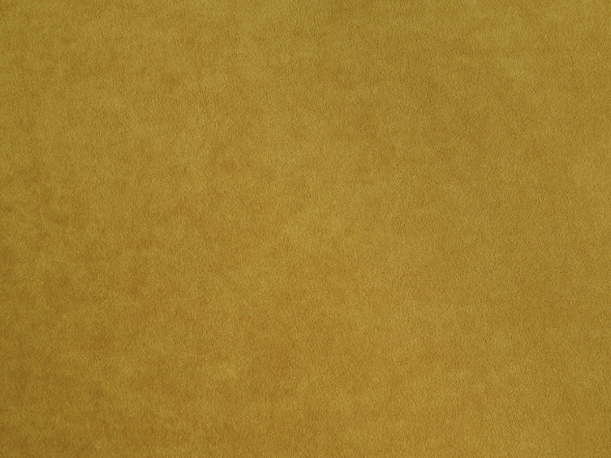 Nessi (Нессі) 14 Mimosa 