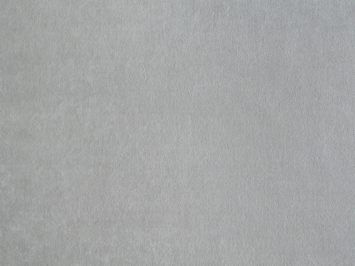 Nessi (Нессі) 19 Antarctica 