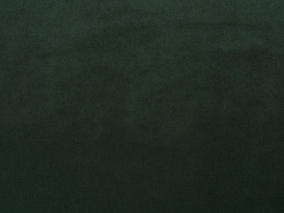 Almira (Альміра) 19 AMAZON GREEN SHINE 