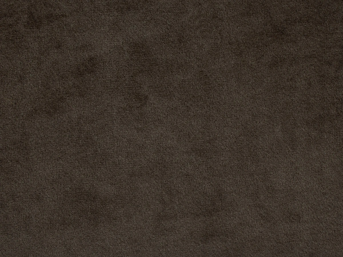 Molly (Моллі) 10 Коричневий 