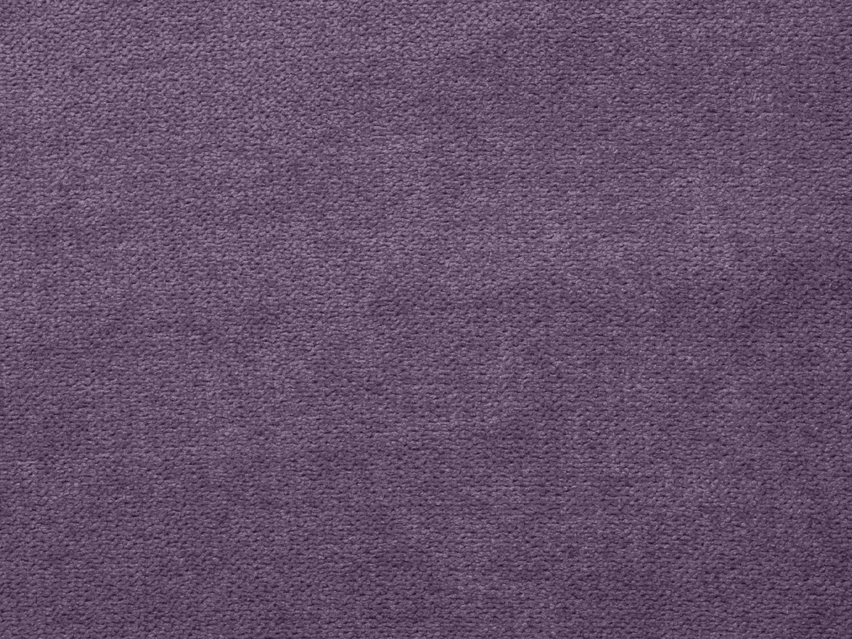 Alaska (Аляска) 07 BELLFLOWERS 