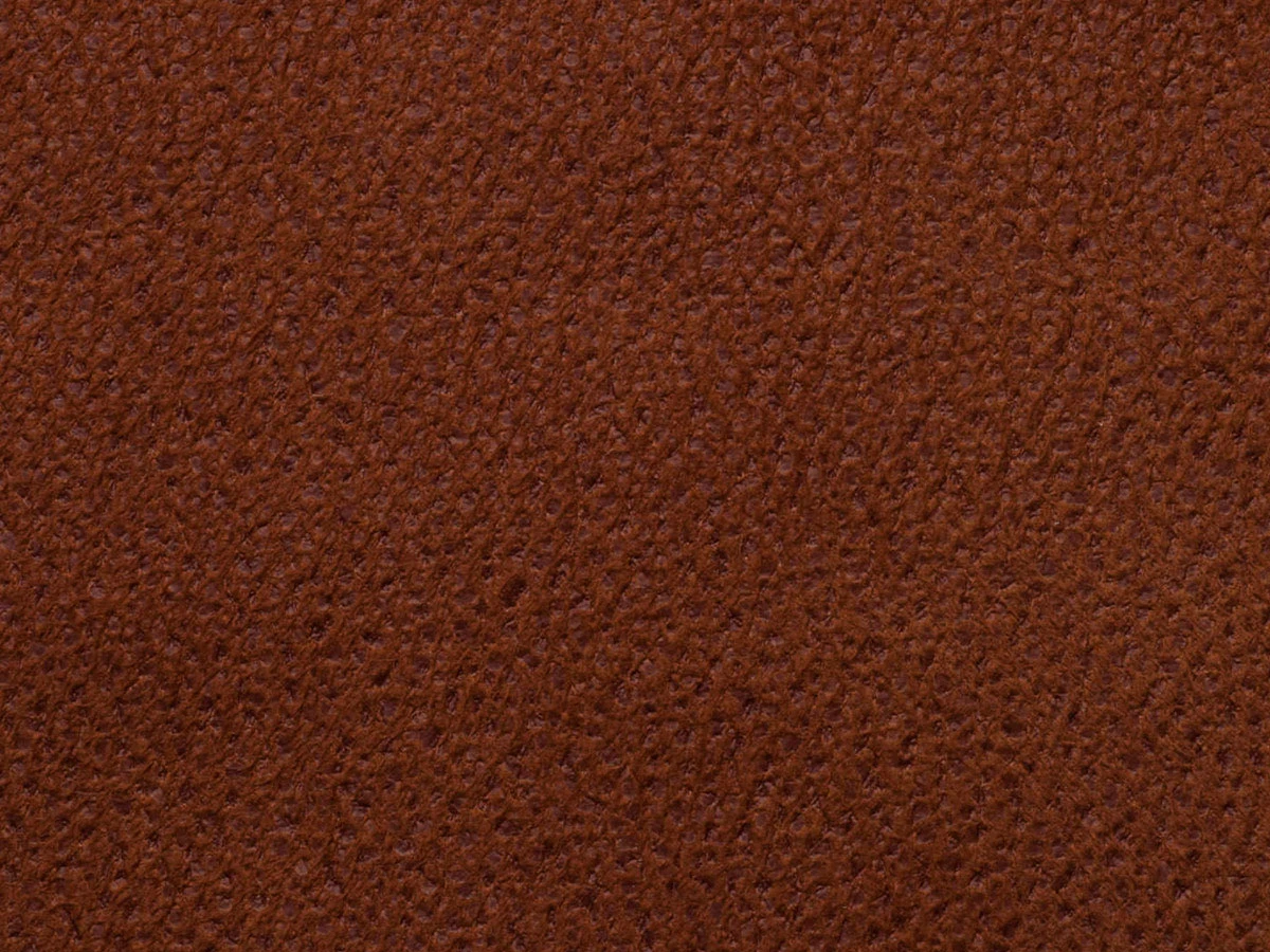 Mustang (Мустанг) RUST 