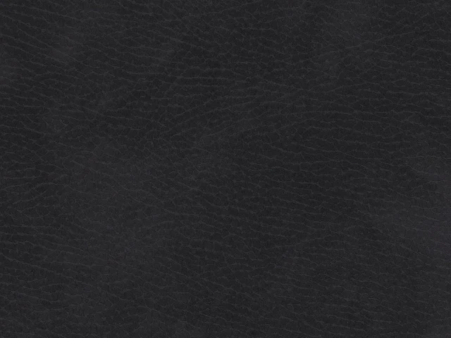 Texas (Техас) 100 Чорний 