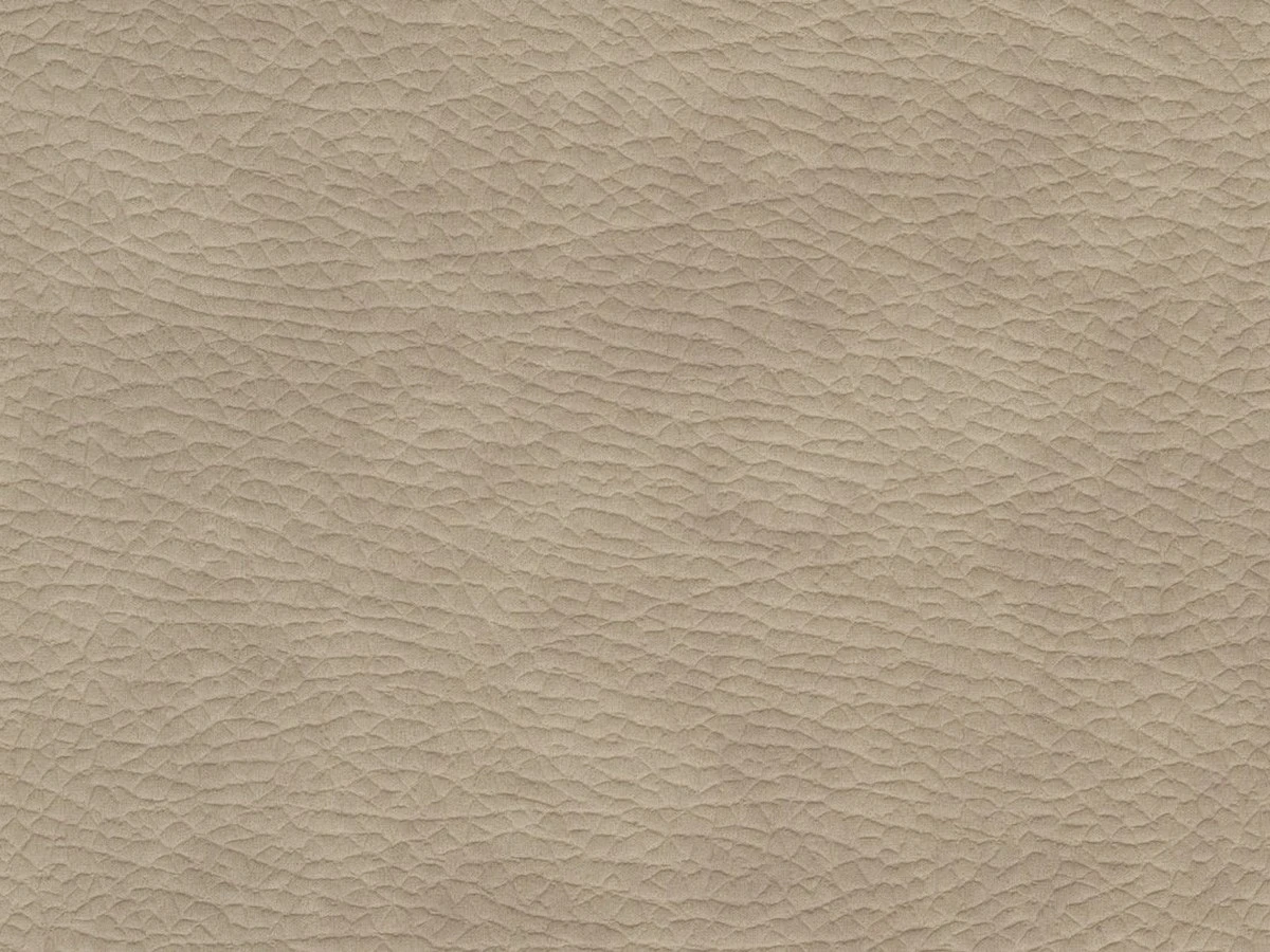 Texas (Техас) 23 Бежевий 