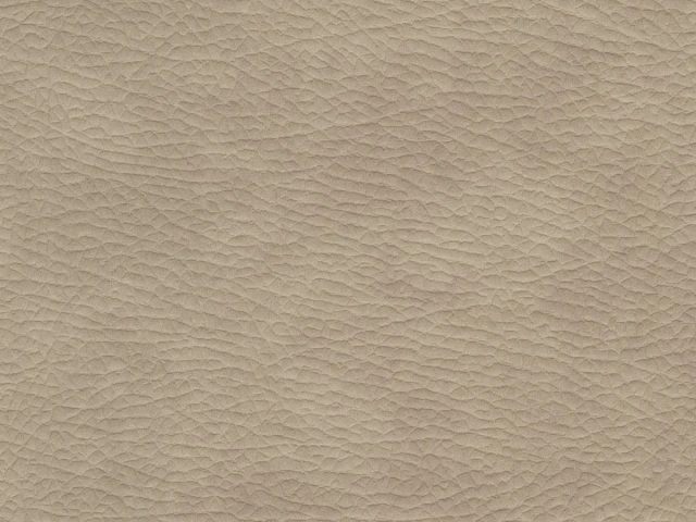 Texas (Техас) 23 Бежевий 