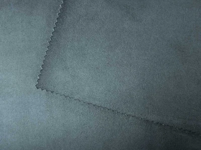 Mozart (Моцарт) 20 Сизий