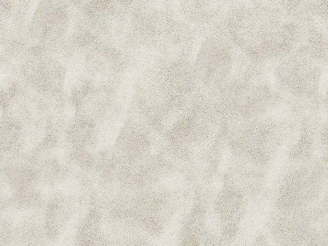 Michigan (Мічіган) Bone 