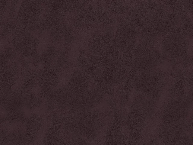 Michigan (Мічіган) Bordo 