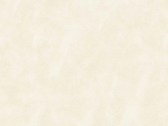 Michigan (Мічіган) Ivory 