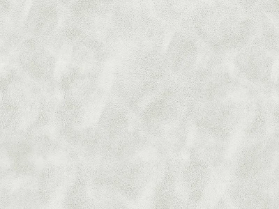 Michigan (Мічіган) Off White