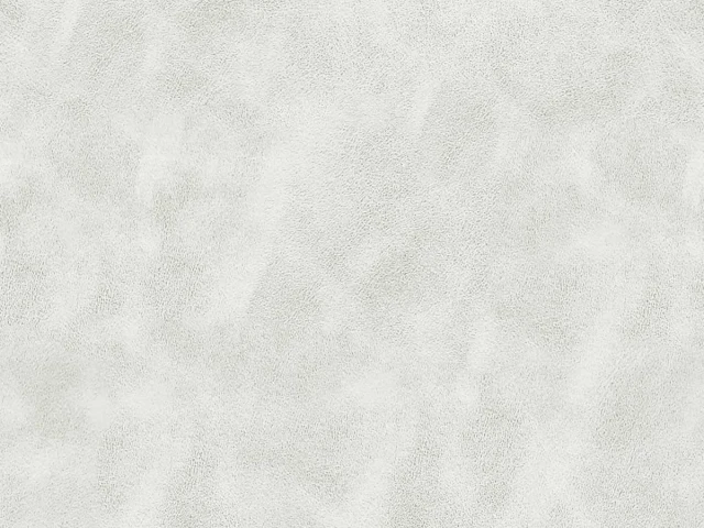 Michigan (Мічіган) Off White 