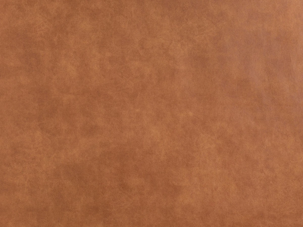 Bizon (Бізон) 2103 Рудий 