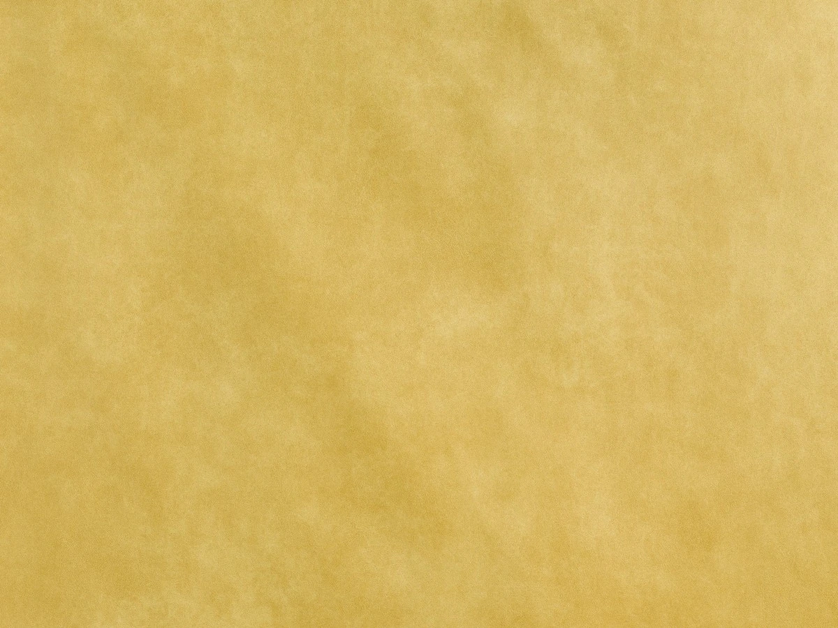 Bizon (Бізон) 2104 Жовтий 