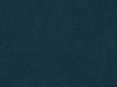 Antares (Антарес) Navy